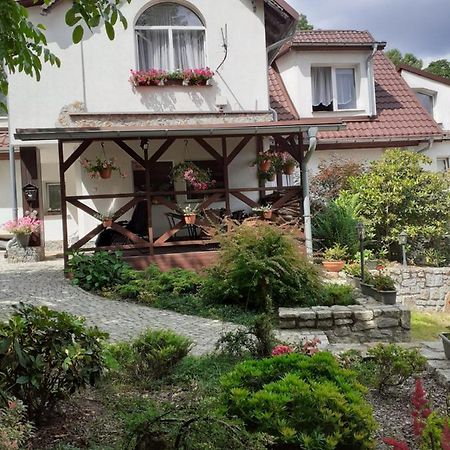 Willa Parkowa Sklářská Poruba Exteriér fotografie