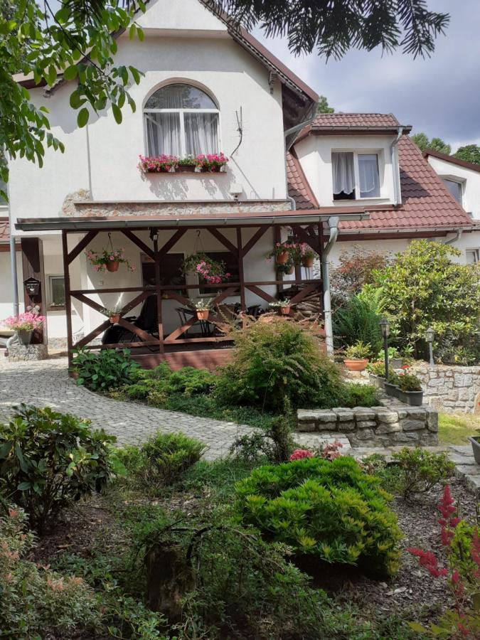 Willa Parkowa Sklářská Poruba Exteriér fotografie