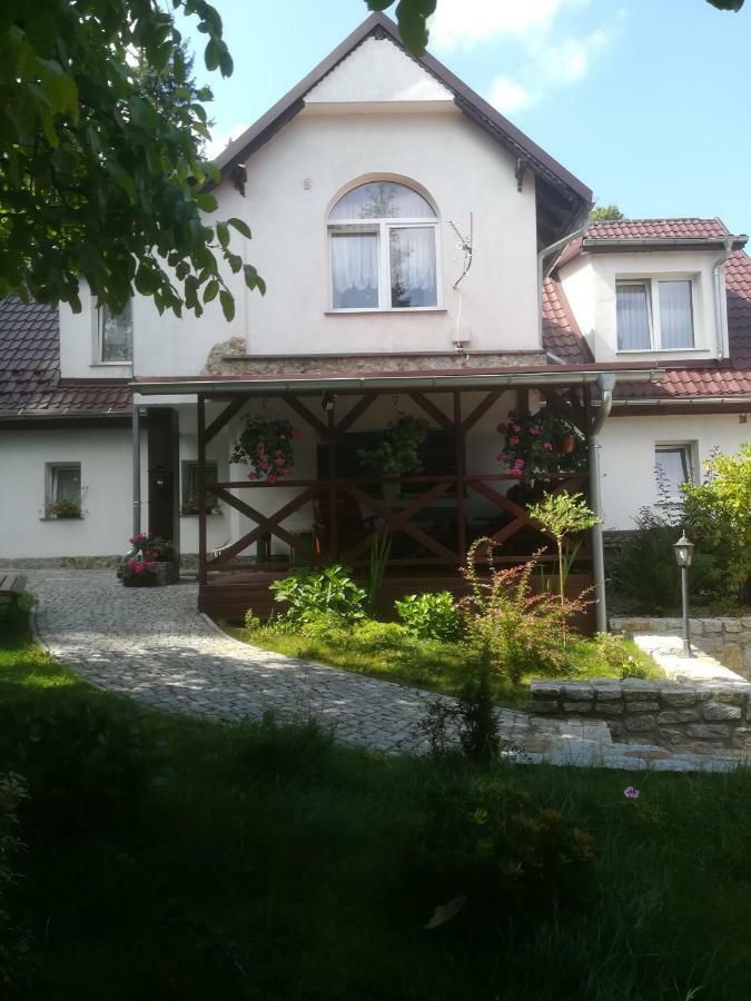 Willa Parkowa Sklářská Poruba Exteriér fotografie